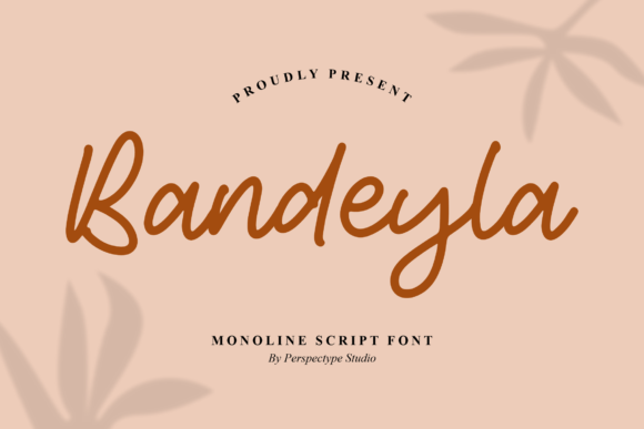 Bandeyla: A Designer's Honest Review for Branding