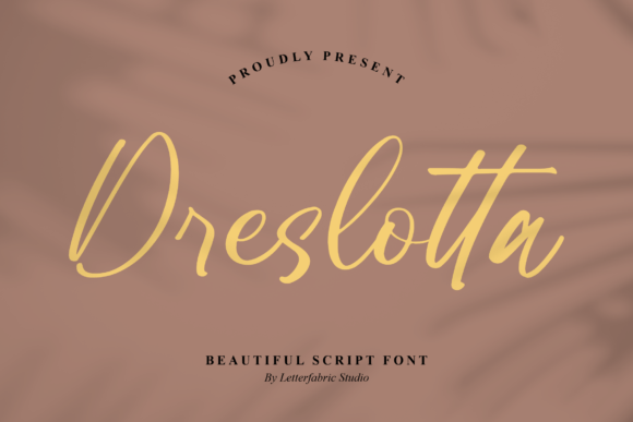 Dreslotta Font Review: Elevating Campaign Visuals with Style