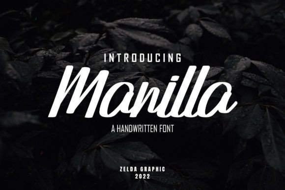 Manilla Font: Bold Script for High-Impact Campaigns