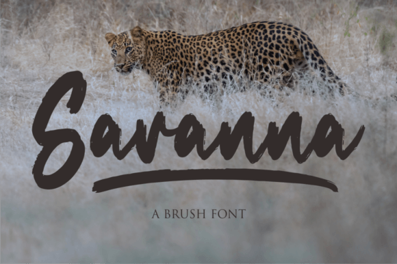 Savanna: The Script Font That Stops the Scroll