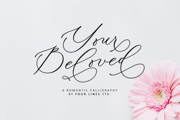 Your Beloved Font Review: A Romantic Script for Branding